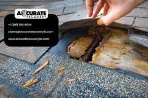 Public Adjuster for Roof Damage Claims